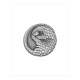Pangolin no. 2 (Print Only) thumbnail