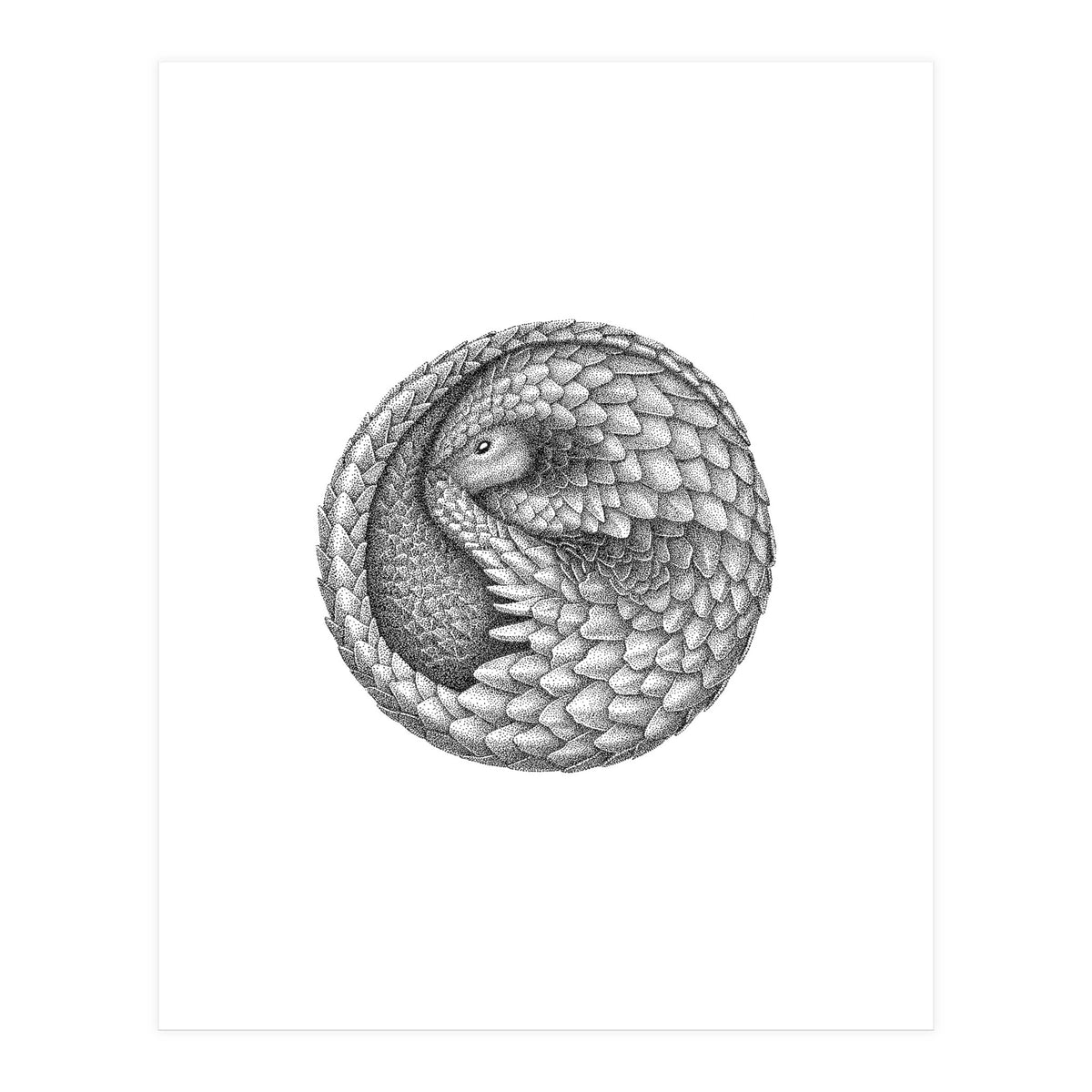 Pangolin no. 2 (Print Only)