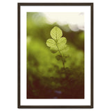 Out of the green thumbnail