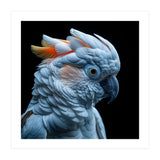Close Up Of A Cockatoo Parrot Head (Print Only) thumbnail