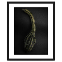 Gourds No 9 Color Version