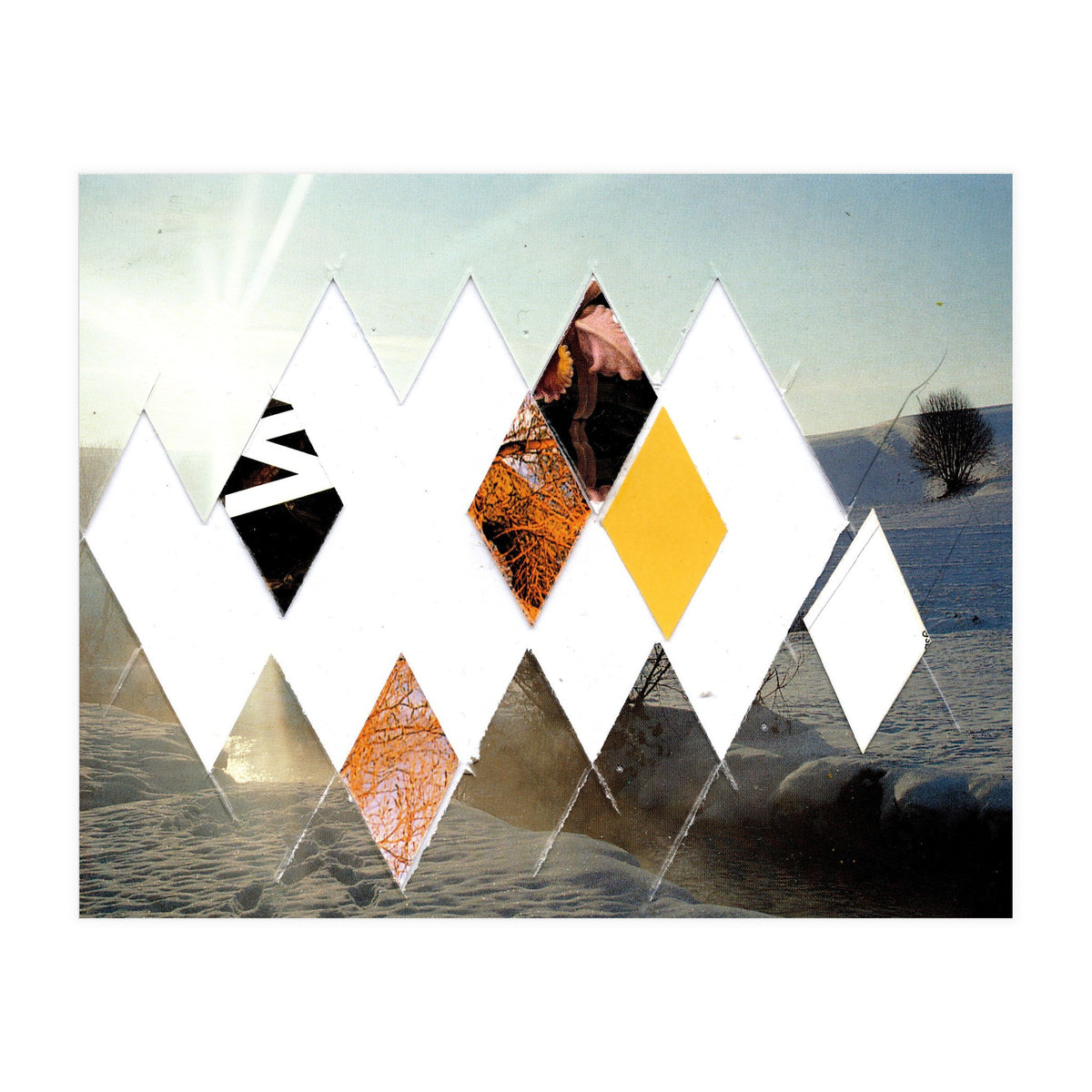 Fragmented · Botschaft Der Pappen??? · Winterimpressionlooklike (Print Only)