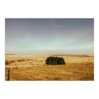 Dartmoor 2018 (Print Only)