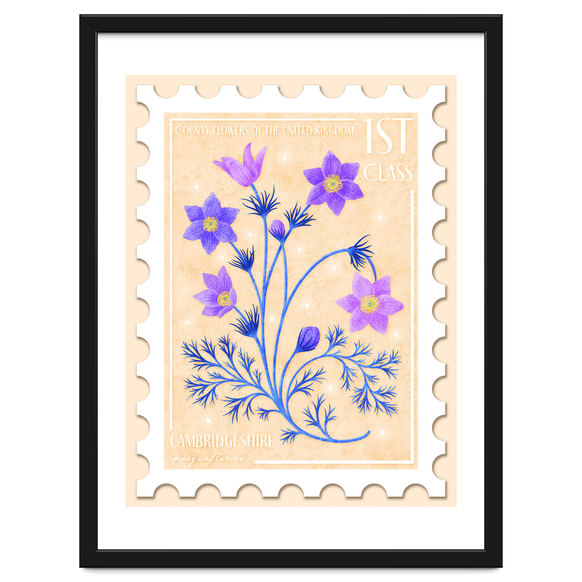 The Cambridgeshire Pasqueflower Postage Stamp