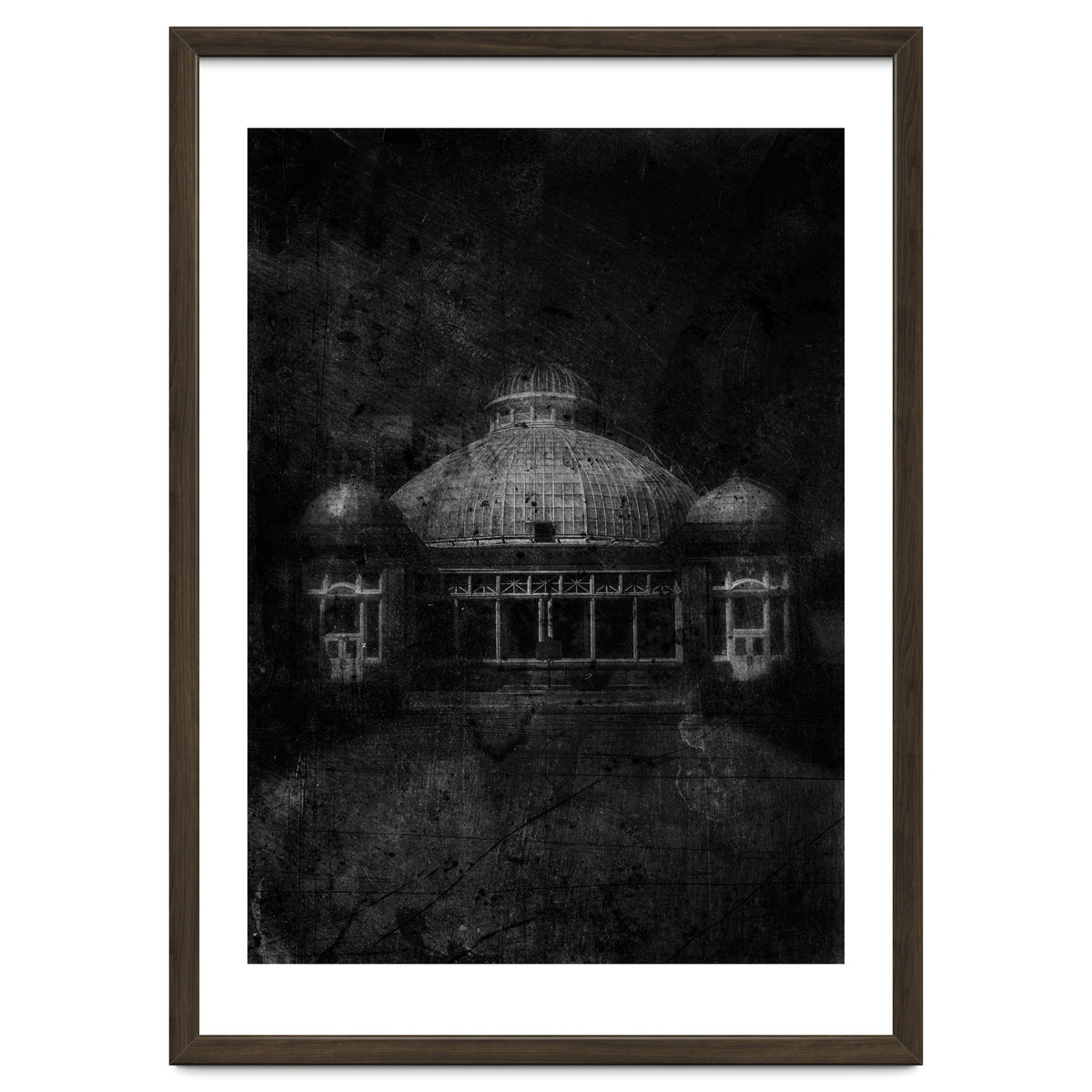 Allan Gardens Conservatory Palm House No 3 Old Film Version