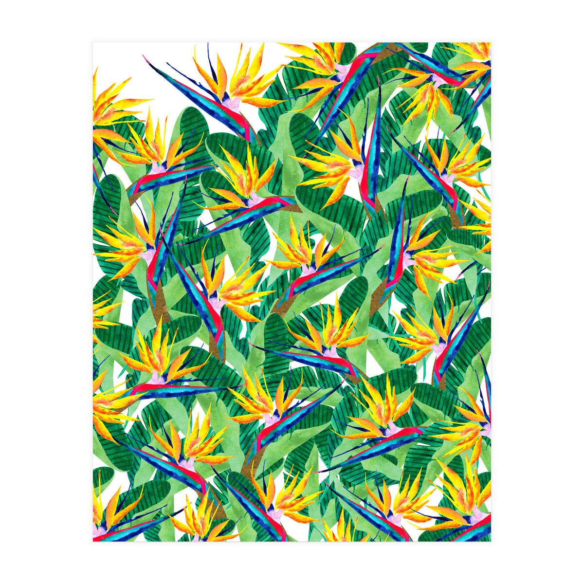 Summer Strelitzia (Print Only)