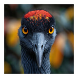 Close Up Of A Strikingly Beautiful Bird Face (Print Only) thumbnail