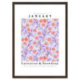 Carnations And Snowdrop January Birth Flower Floral Print thumbnail