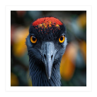 Close Up Of A Strikingly Beautiful Bird Face (Print Only)