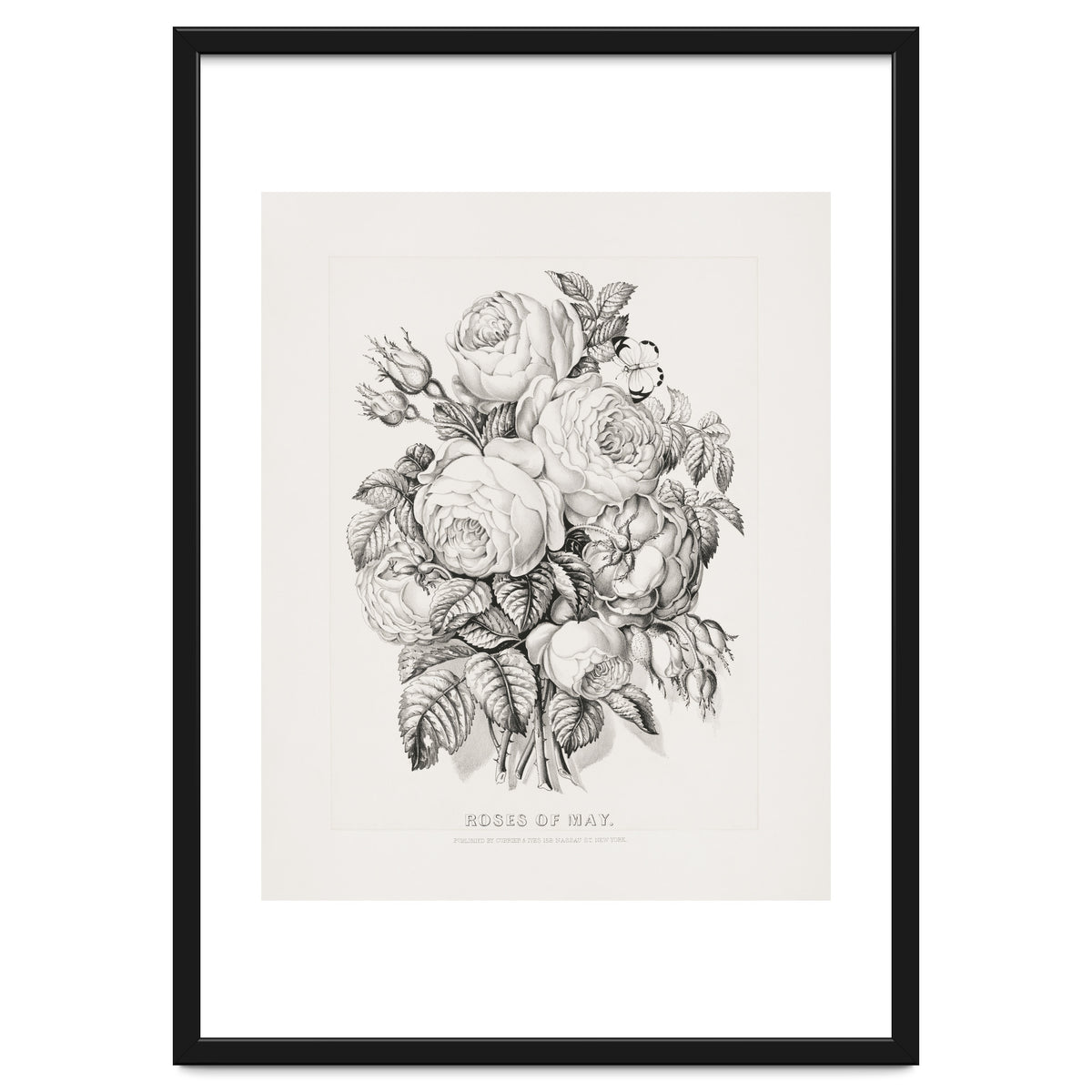 Currier & Ives – Rose of May (1870)