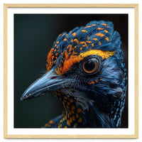 Close Up Of A Colorful Bird Head And Eye