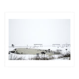 Blackbirds surrounding a frozen pond in winter (Print Only) thumbnail