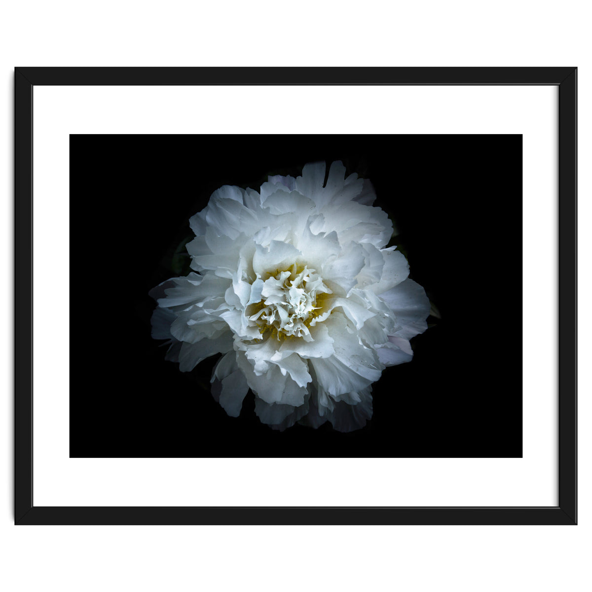 Backyard Flowers No 90 Color Version