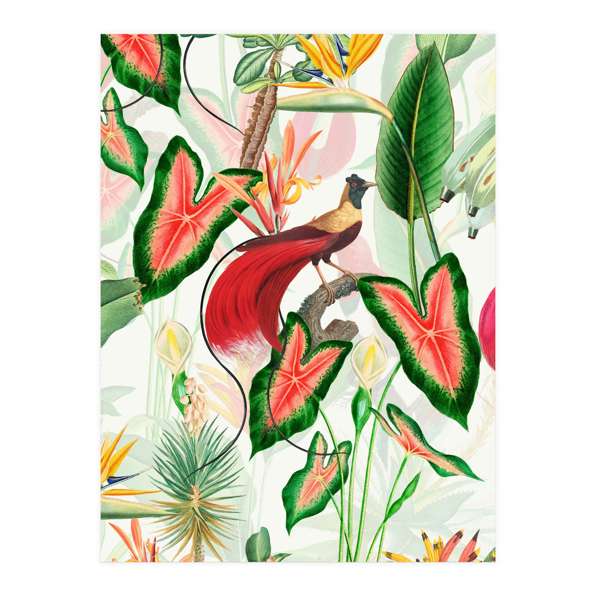 Vintage Bird Of Paradise in Jungle (Print Only)