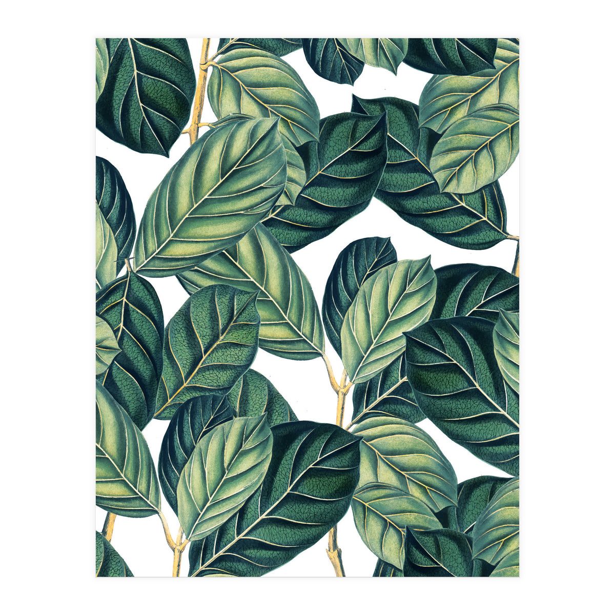 Botany #society6 #decor #buyart (Print Only)