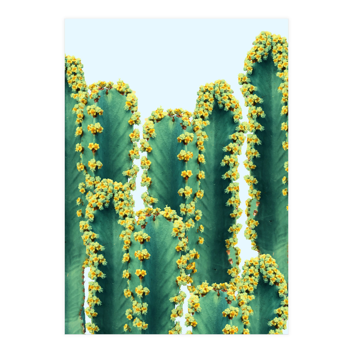 Adorned Cactus #society6 #artprints #buyart (Print Only)