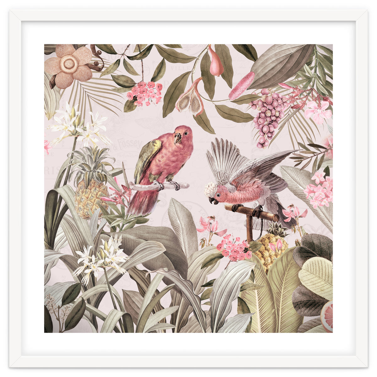 Colorful Parrots In Flower And Fruit Tropical Jungle