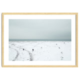 Seagulls in the winter snow beach thumbnail