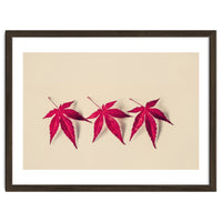 Dancing Leaves