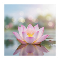 Ethereal Lotus Bloom: Serene Botanical Reflection (Print Only)