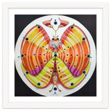 Clock butterfly thumbnail