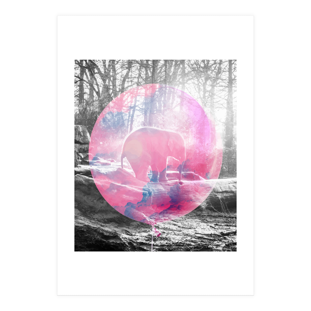 Baby Elephant In A Balloon (Print Only)