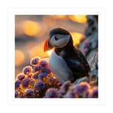 Puffin Bird Amidst Purple Flowers Golden Hour (Print Only) thumbnail