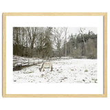 White horse in the snow field thumbnail