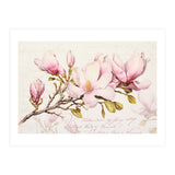 Magnolia Spring Romance Pink (Print Only) thumbnail