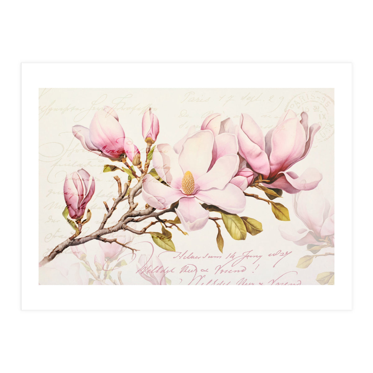 Magnolia Spring Romance Pink (Print Only)