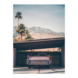 Palm Springs Pink (Print Only) thumbnail