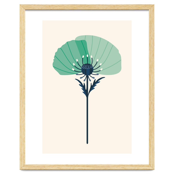 Teal Half Poppy