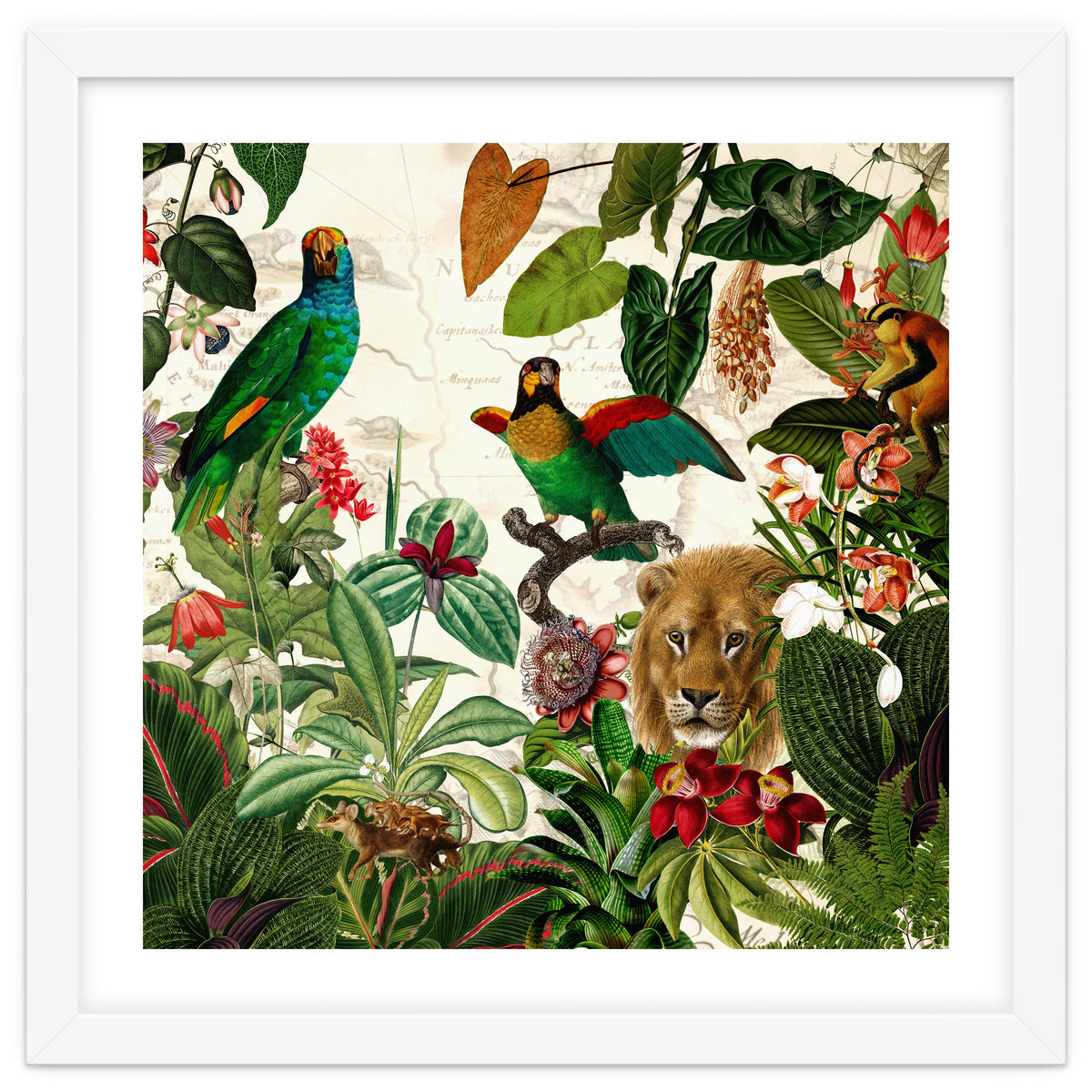 Exotic Lush Jungle And Wild Animals Landscape