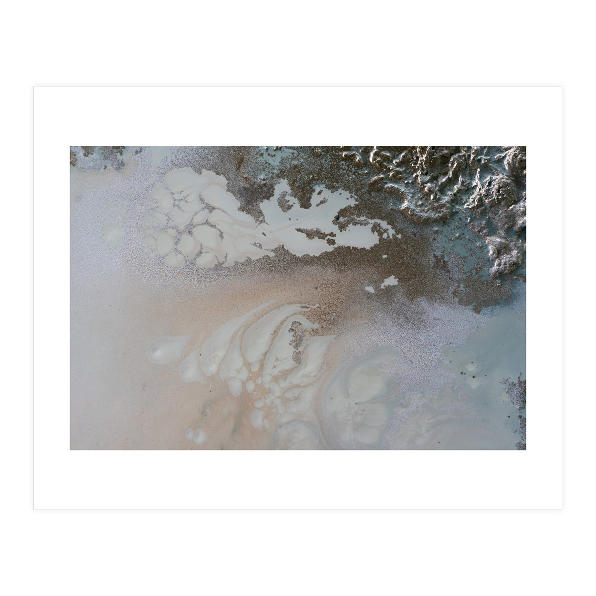 Life Unfolding (Print Only)