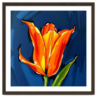 Lily Fresh