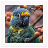Yellow Headed Amazon Parrot Close Up Portrait thumbnail