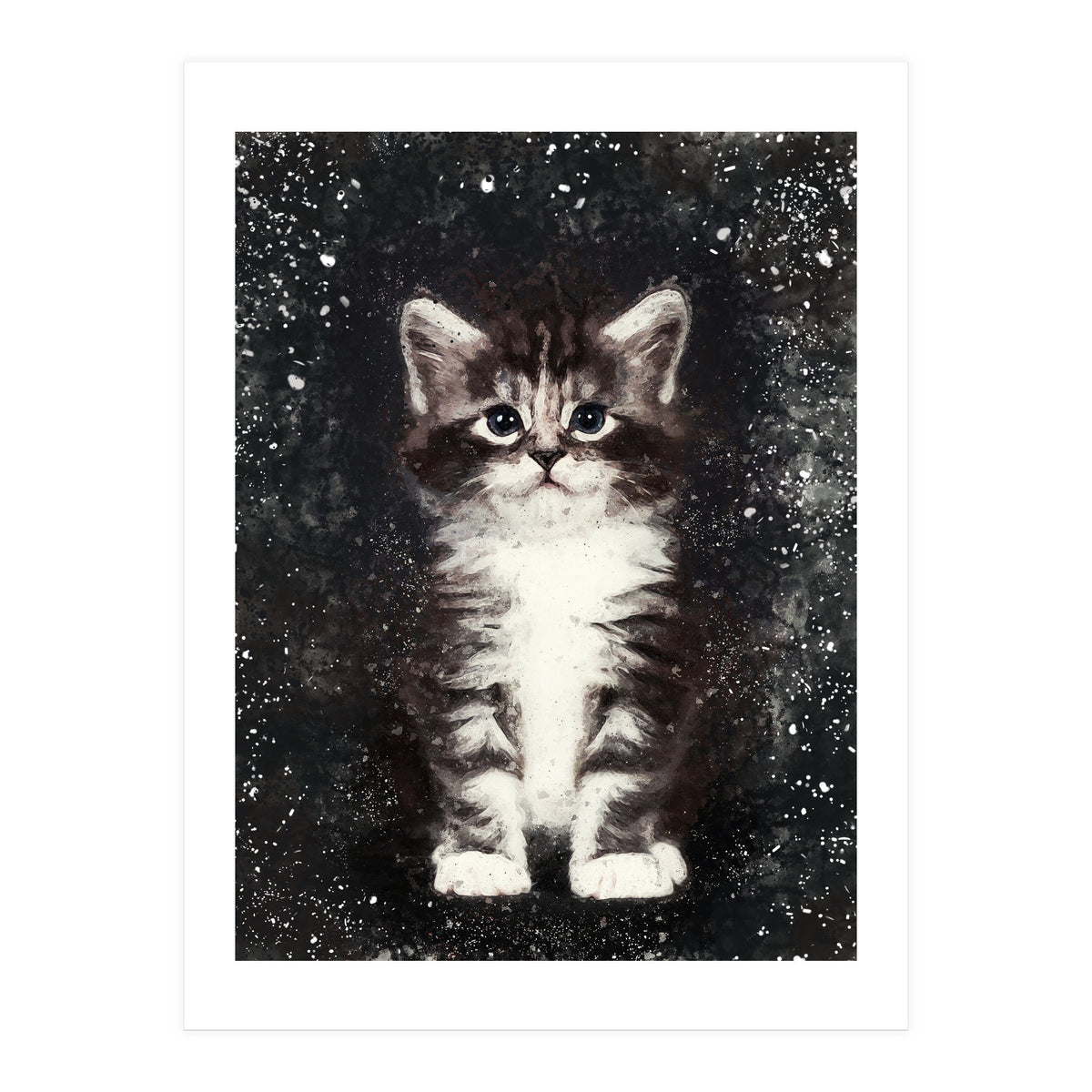 Bicolor Cute Kitten Portrait (Print Only)