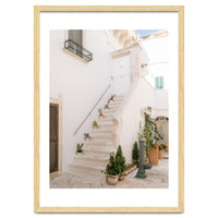 Stairs with cacti