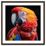 Scarlet Macaw Parrot Close Up Portrait Vivid Colors thumbnail