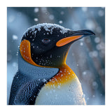 King Penguin Close Up In Snowy Environment (Print Only) thumbnail