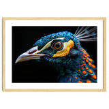 Close Up Of A Peacock Bird Head Eye thumbnail