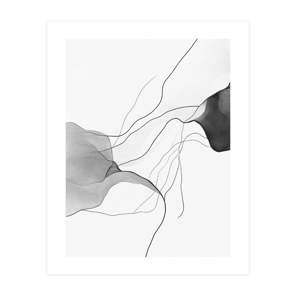 Abstract Black And White Flowing Lines And Shapes On White Background (Print Only)