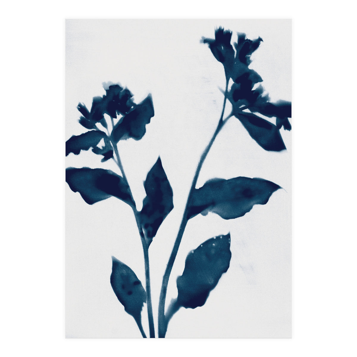 Indigo Blue Flower Silhouette 2 (Print Only)