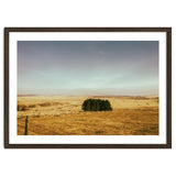 Dartmoor 2018 thumbnail