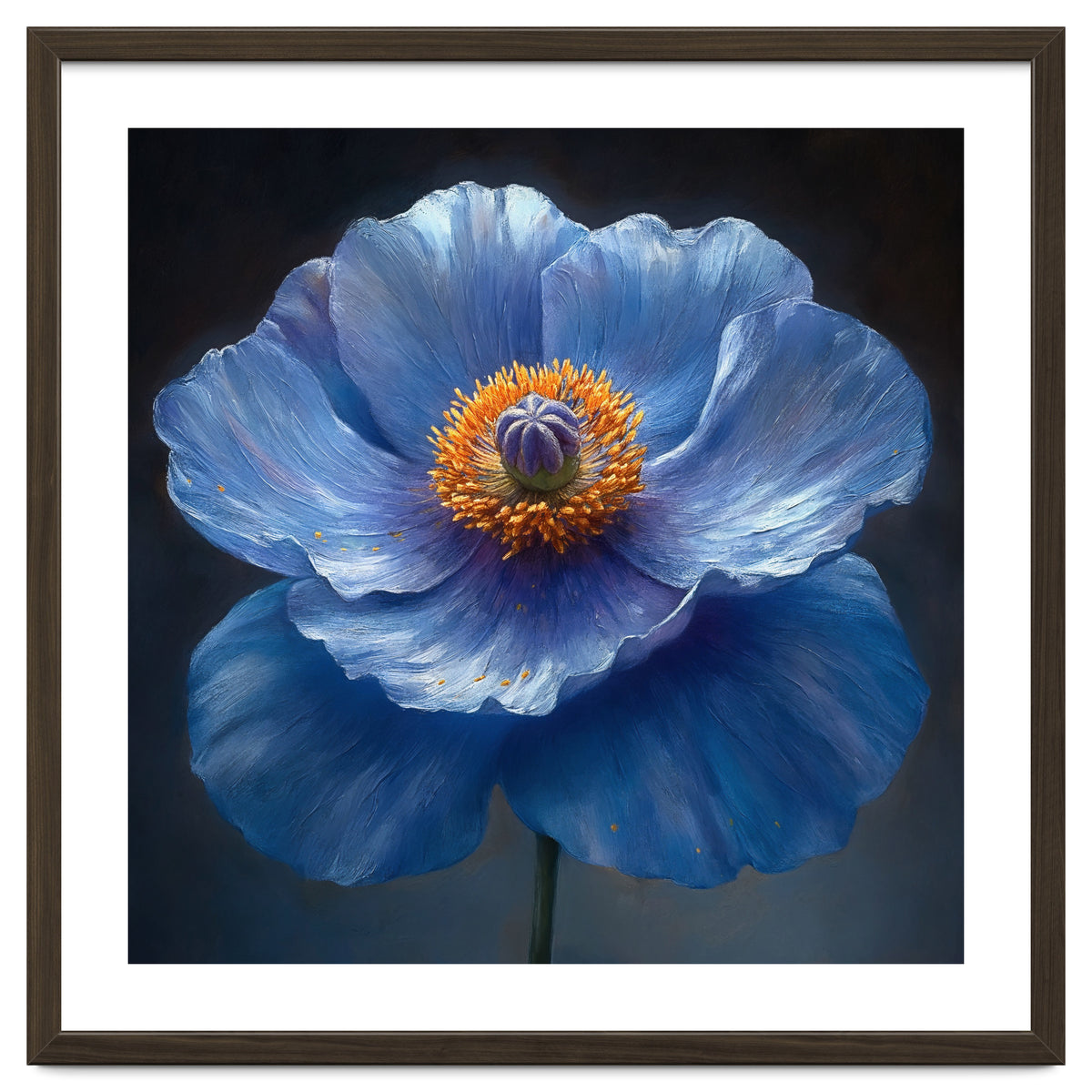 Meconopsis | Sapphire Serenade
