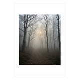 Ethereal Morning Light Breaking Through Dense Forest Fog (Print Only) thumbnail