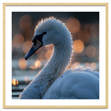 Close-up Shot of a Swan with Water Droplets thumbnail