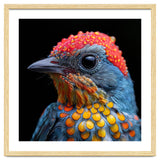 Close Up Of Colorful Bird With Water Droplets thumbnail
