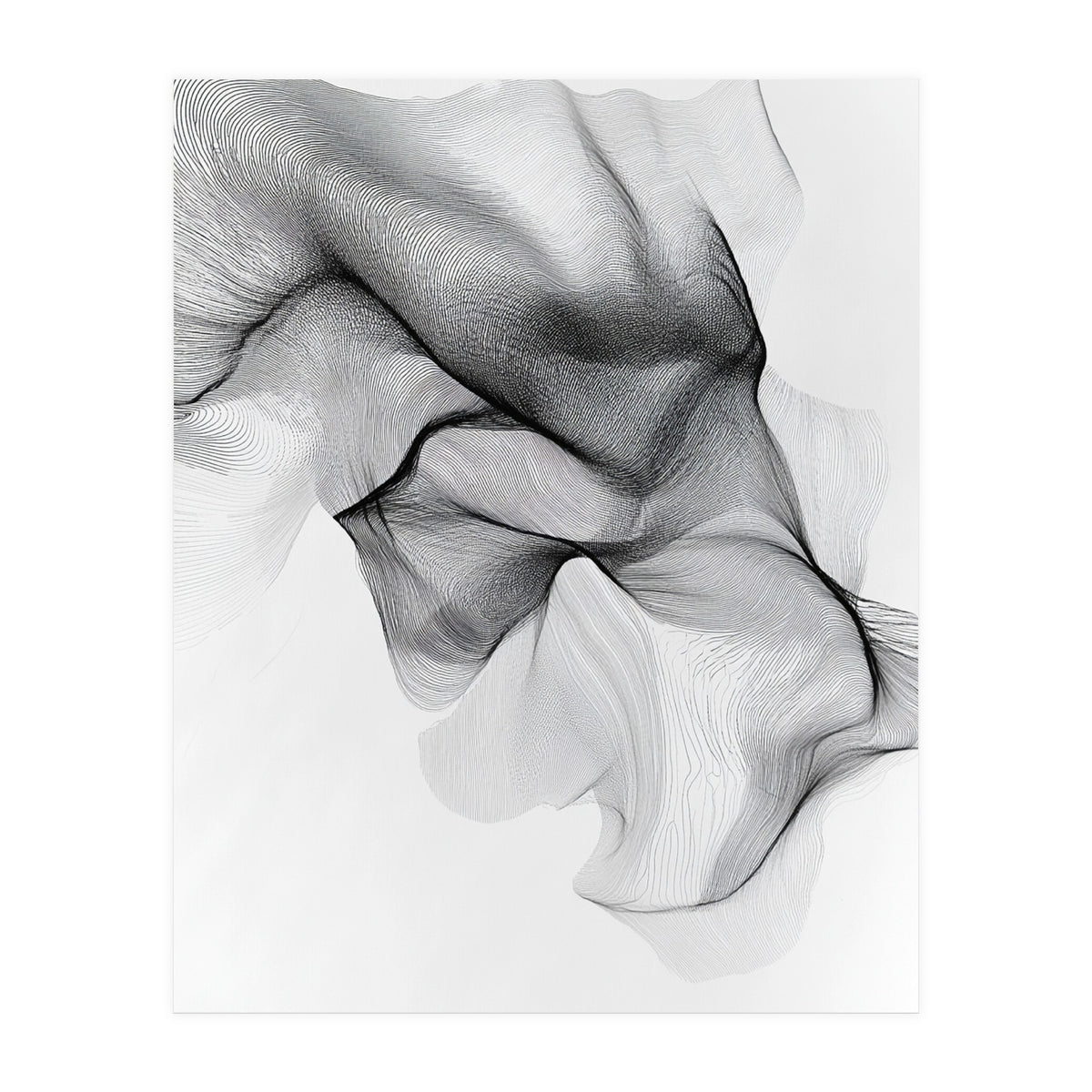 Abstract Black And White Flowing Lines Forming Organic Shapes And Forms (Print Only)