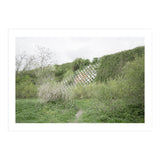 Green grass wall (Print Only) thumbnail